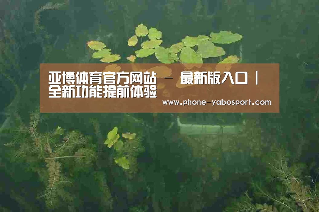 案例展示三