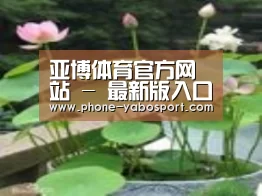 产品名称一