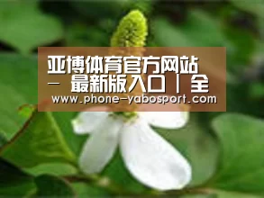 产品名称三