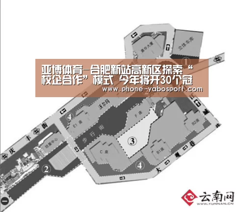 亚博体育-合肥新站高新区探索“校企合作”模式 今年将开30个冠名班(图2) 亚博