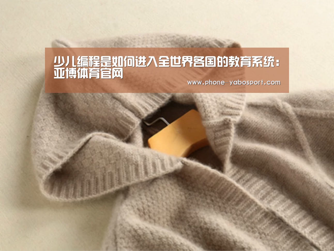 少儿编程是如何进入全世界各国的教育系统:亚博体育官网(图1) 亚博体育官网
