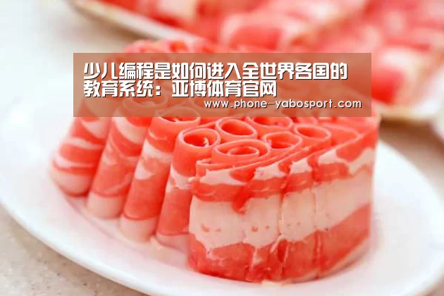 少儿编程是如何进入全世界各国的教育系统:亚博体育官网(图3) 少儿编程是如何进入全世界各国的教育系统:亚博体育官网(图3)