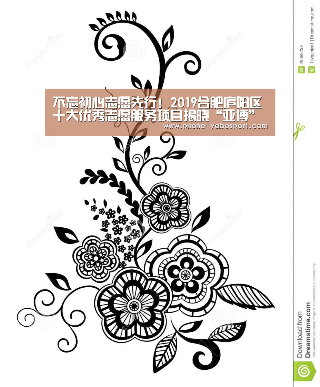 不忘初心志愿先行!2019合肥庐阳区十大优秀志愿服务项目揭晓“亚博”(图2) 亚博体育